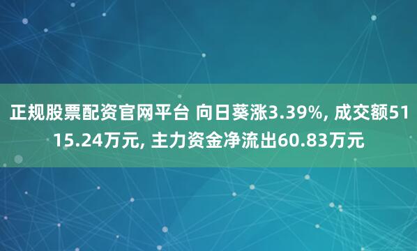 正规股票配资官网平台 向日葵涨3.39%, 成交额5115.24万元, 主力资金净流出60.83万元