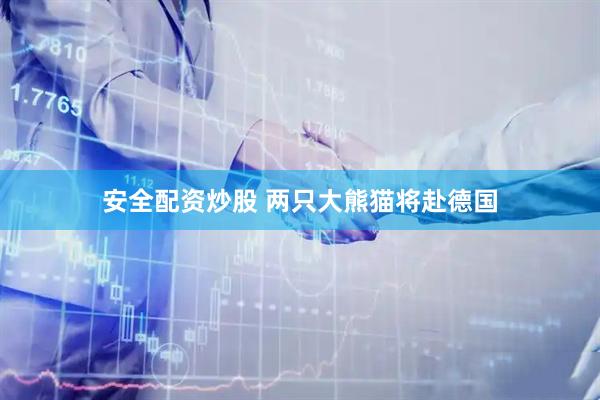 安全配资炒股 两只大熊猫将赴德国