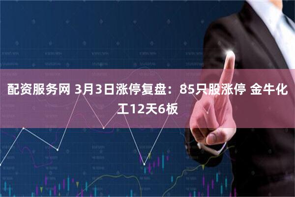 配资服务网 3月3日涨停复盘:85只股涨停 金牛化工12天6板